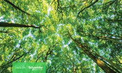 Schneider Electric'ten, Tedarik Zinciri Başarısı