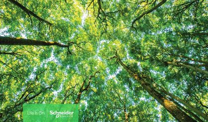 Schneider Electric'ten, Tedarik Zinciri Başarısı