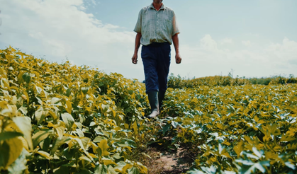 Dicle Elektrik'ten Etkili Kamu Spotu